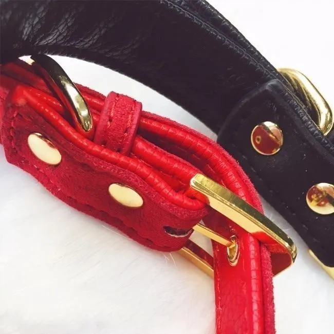 Bow & Bell Kitten Collar