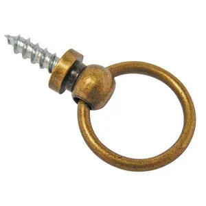 Picture ring with steel screw